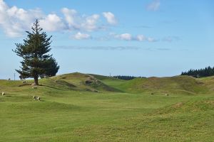 Waverley 12th Fairway